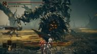 Exploring Shadow of the Erdtree's map will often lead to surprise encounters with optional bosses (Image via FromSoftware)